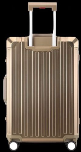 Smooth Aluminium Luggage (Gold)