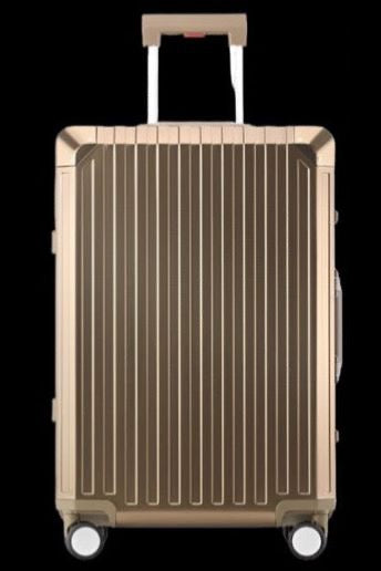 Smooth Aluminium Luggage (Gold)